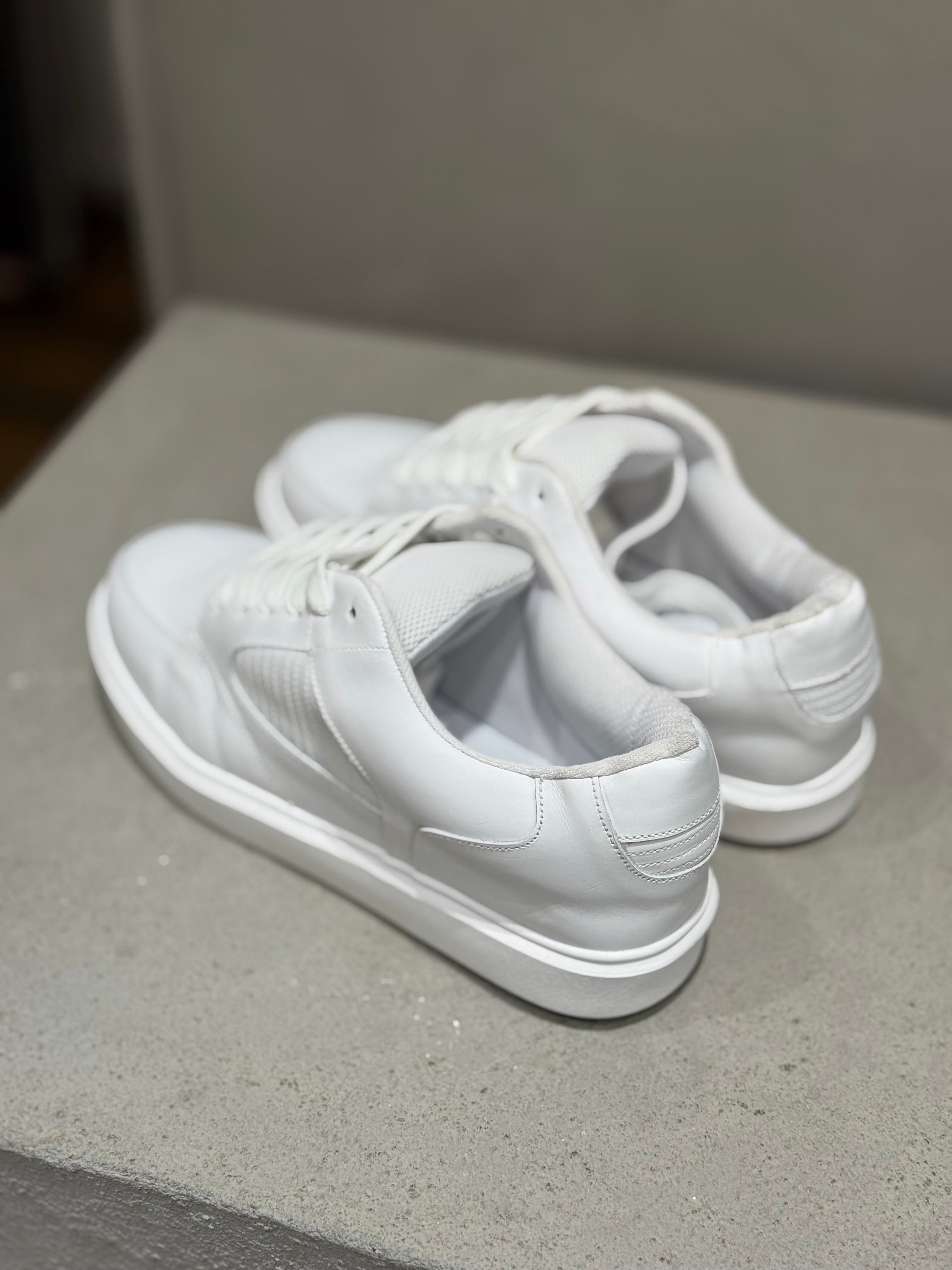 Leather Basic Sneaker/5430