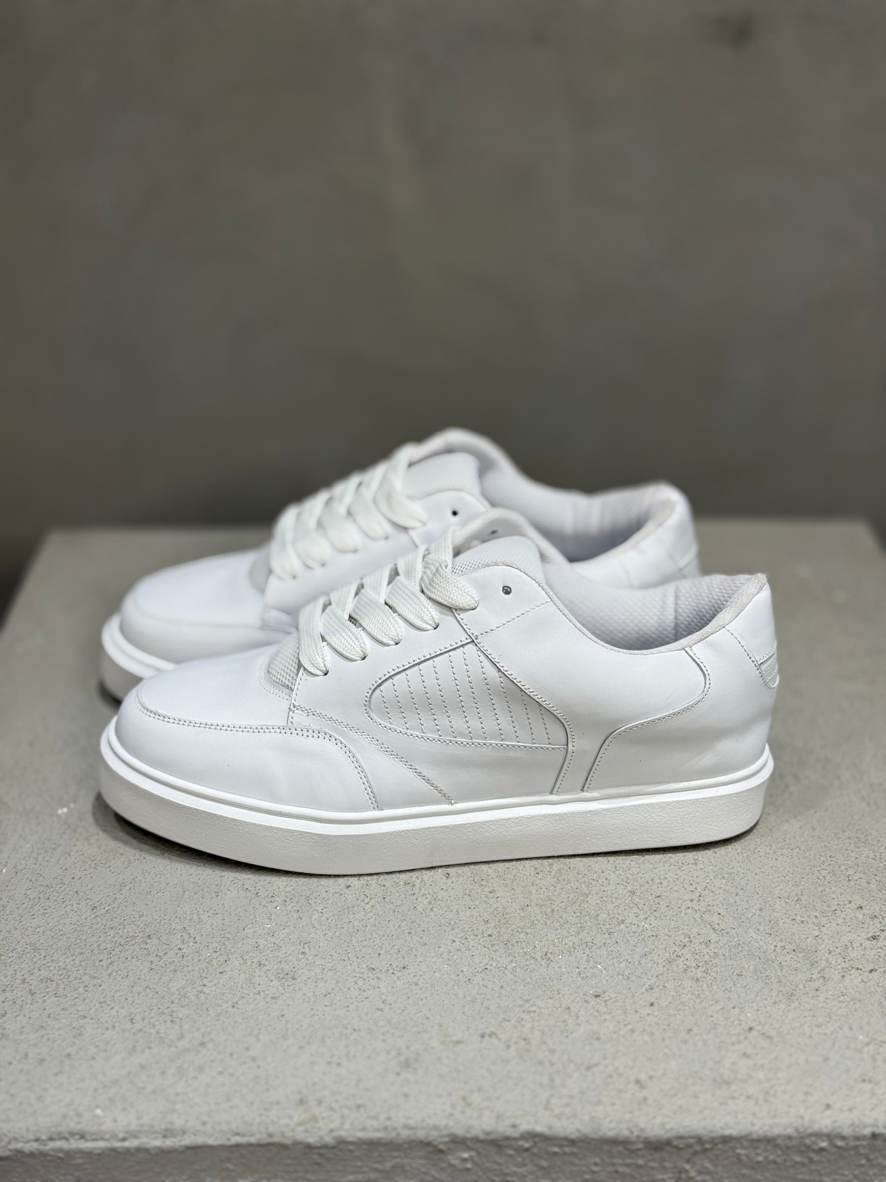 Leather Basic Sneaker/5430