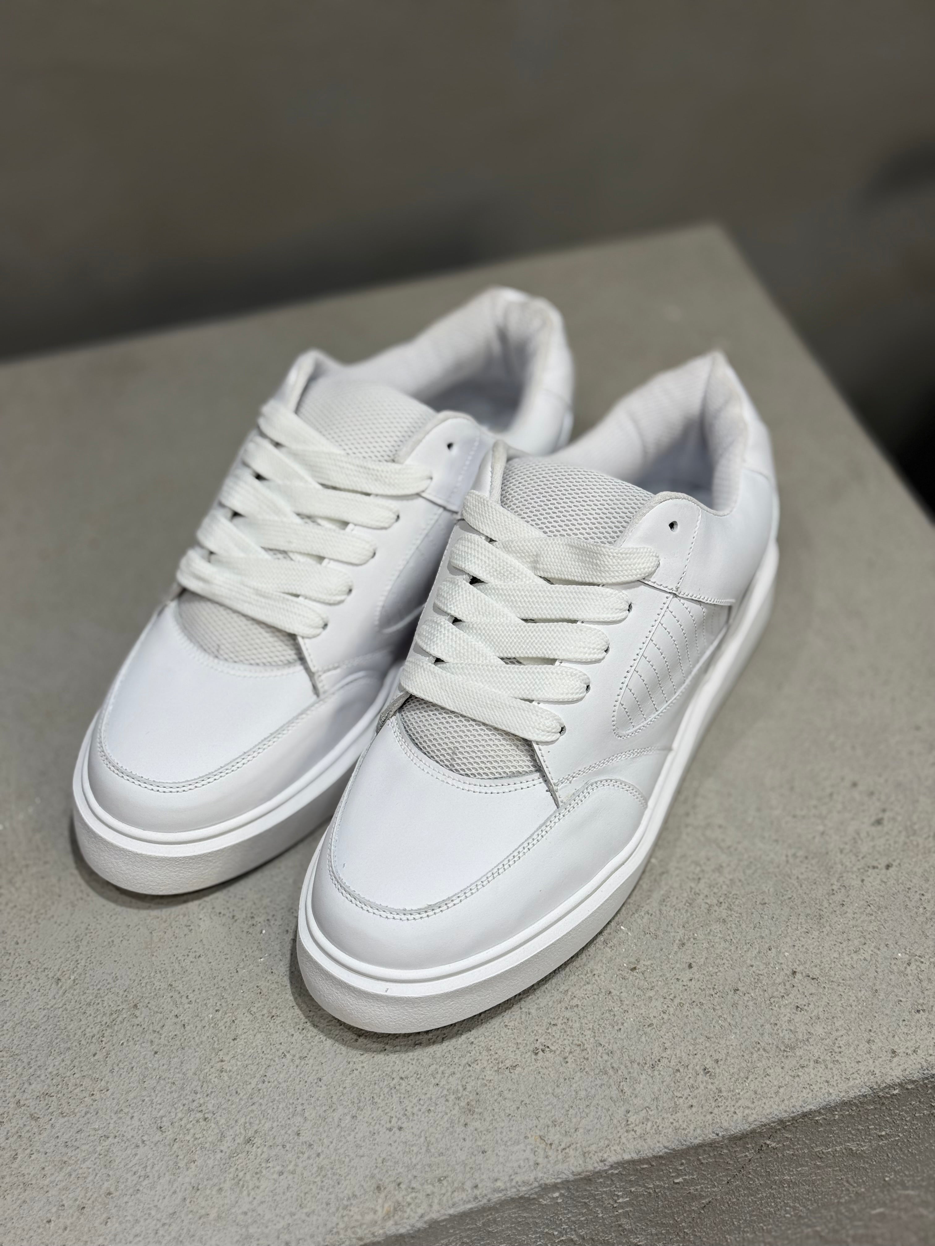 Leather Basic Sneaker/5430