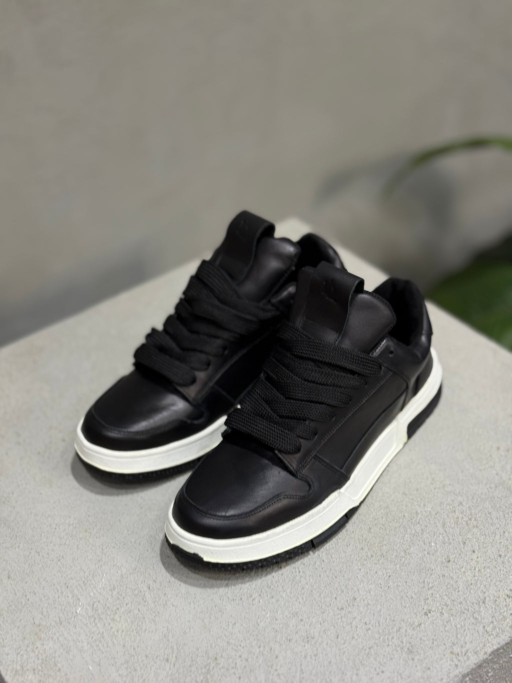 Basic Leather Sneaker/5436